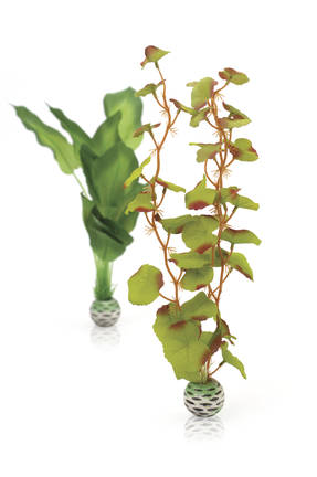 biOrb Silk plant sæt mellem grøn