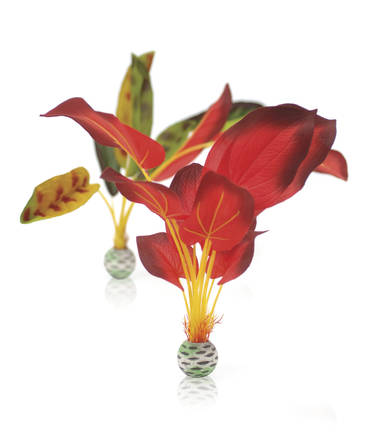 biOrb Silk plant sæt stor grøn / rød